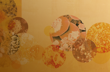 Banner image with abstract orange circles. Some cell images are framed in the circles