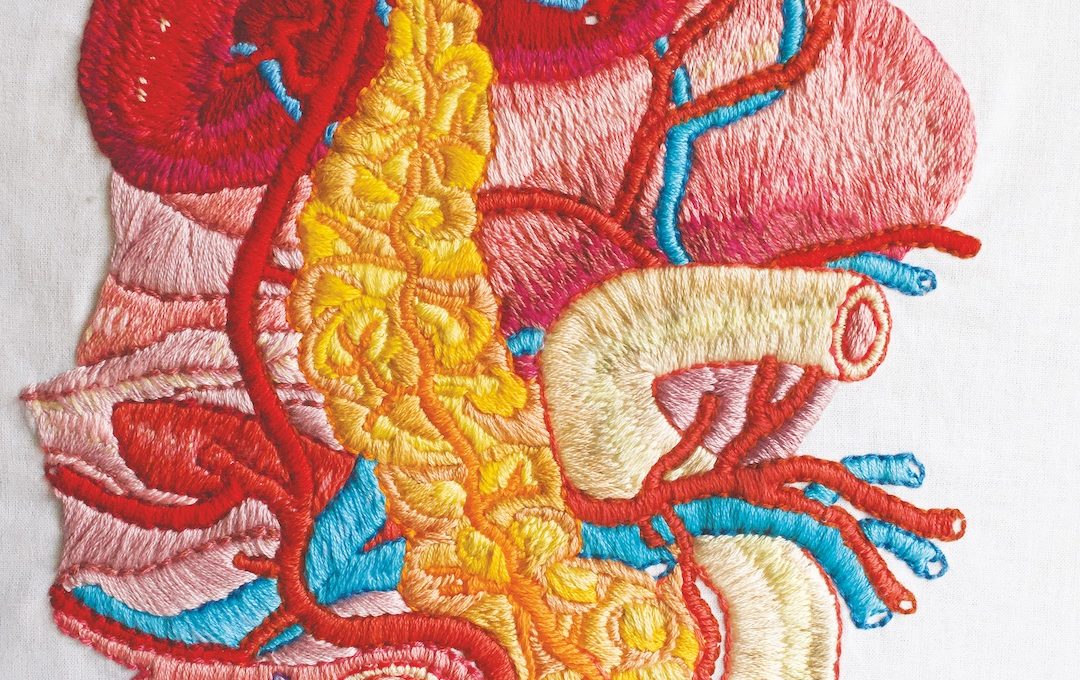 Embroidered illustration of a pancreas and surrounding organs