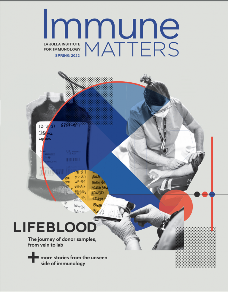 The Spring 2022 cover of Immune Matters Magazine. Cover reads: Lifeblood: The journey of donor samples, from vein to lab. Plus more stories from the unseen side of immunology