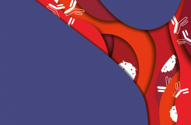 Abstract illustration of blood cells in a blood vessel