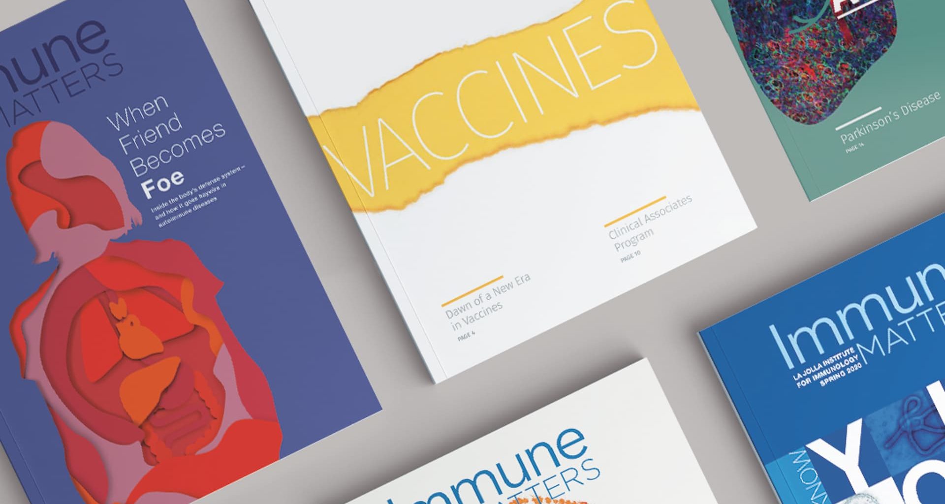 Collage of multiple Immune Matters magazine covers