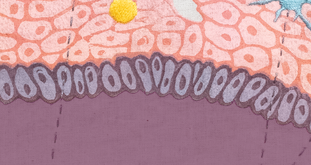 Close up of illustration of skin cells