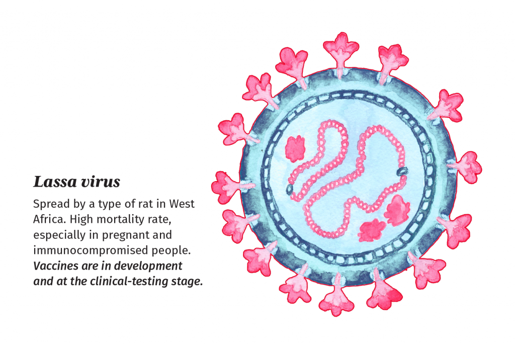 Illustration of Lassa virus with description. The virus is illustrated with shades of blue and red. It resembles a sphere with protruding surface receptors. Inside the sphere is a string-like proteins and genetic materia.  

Description: Lassa virus is spread by a type of rat in West Africa. High mortality rate, especially in pregnant and immunocompromised people. Vaccines are in development and at the clinical-testing stage.
