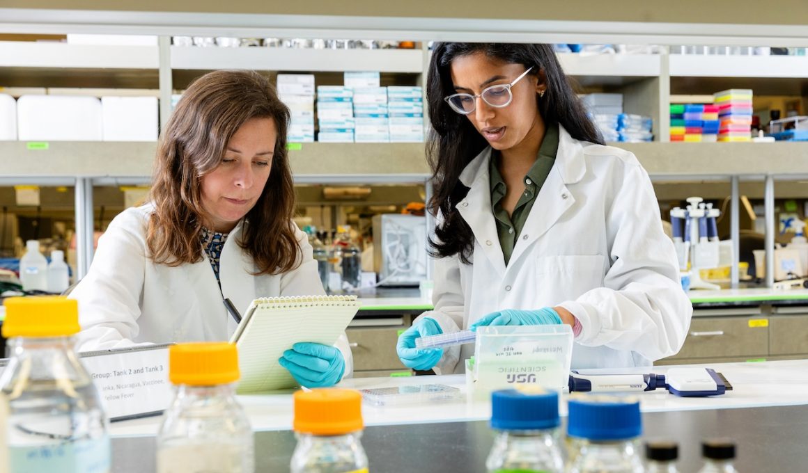 Dr. Weiskopf and Agarwal working in a lab. They are looking at samples and surrounded by bottles and lab equipment. They are wearing gloves and white lab coats.
