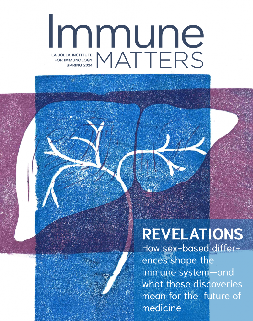 Immune Matters Spring 2025 cover. Graphic shows an illustration of the bile duct network over a linocut graphic of a liver. Text reads: Immune Matters, Spring 2025, La Jolla Institute for Immunology. Headline: Revelation. Subhead: