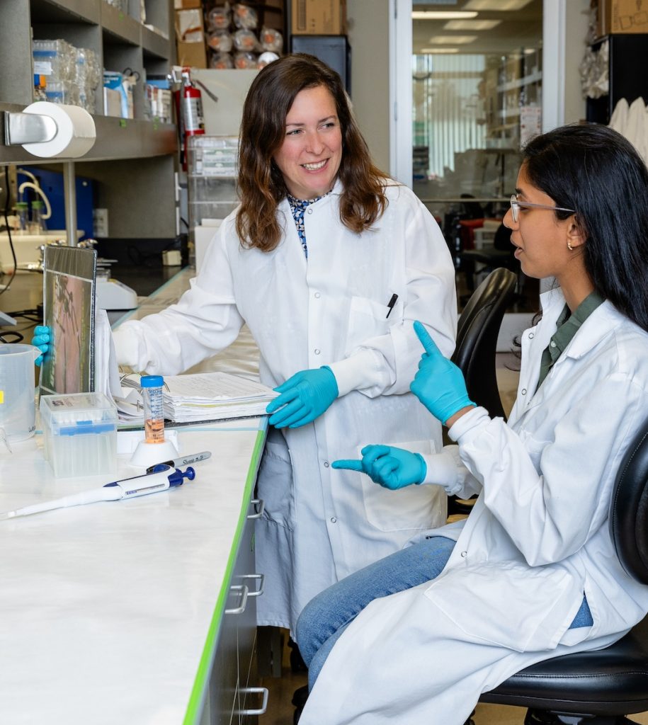 Daniela Weiskopf (left) in the lab with Rimjhim Agarwal. They are at the lab bench, wearing white lab coats and gloves. They are looking at each other and talking