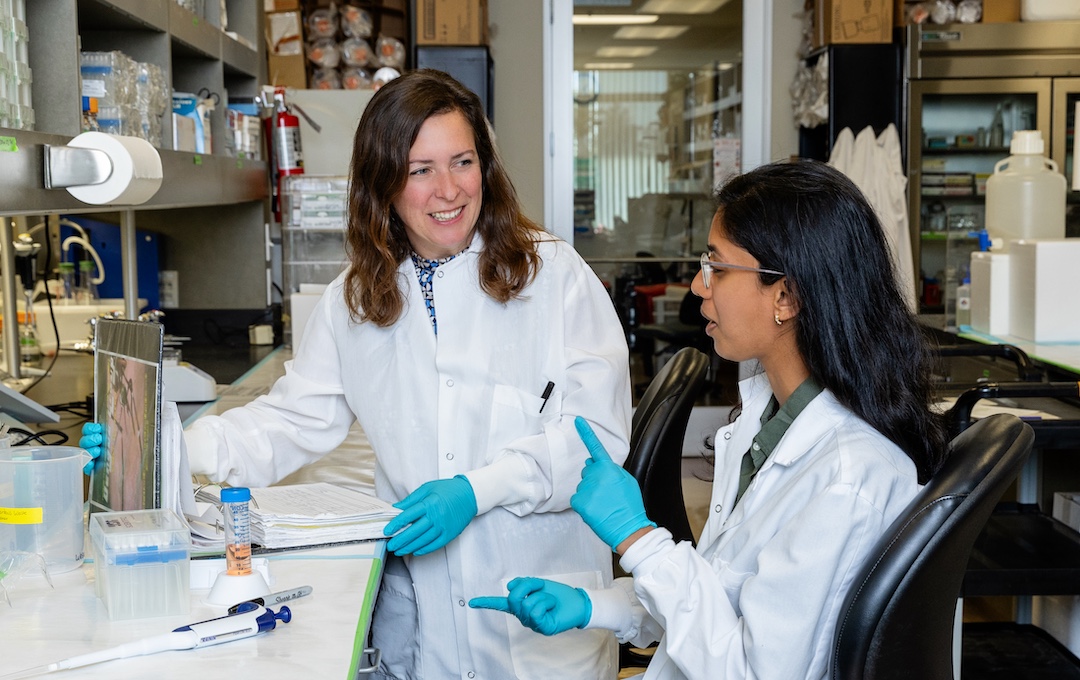 Daniela Weiskopf (left) in the lab with Rimjhim Agarwal. They are at the lab bench, wearing white lab coats and gloves. They are looking at each other and talking