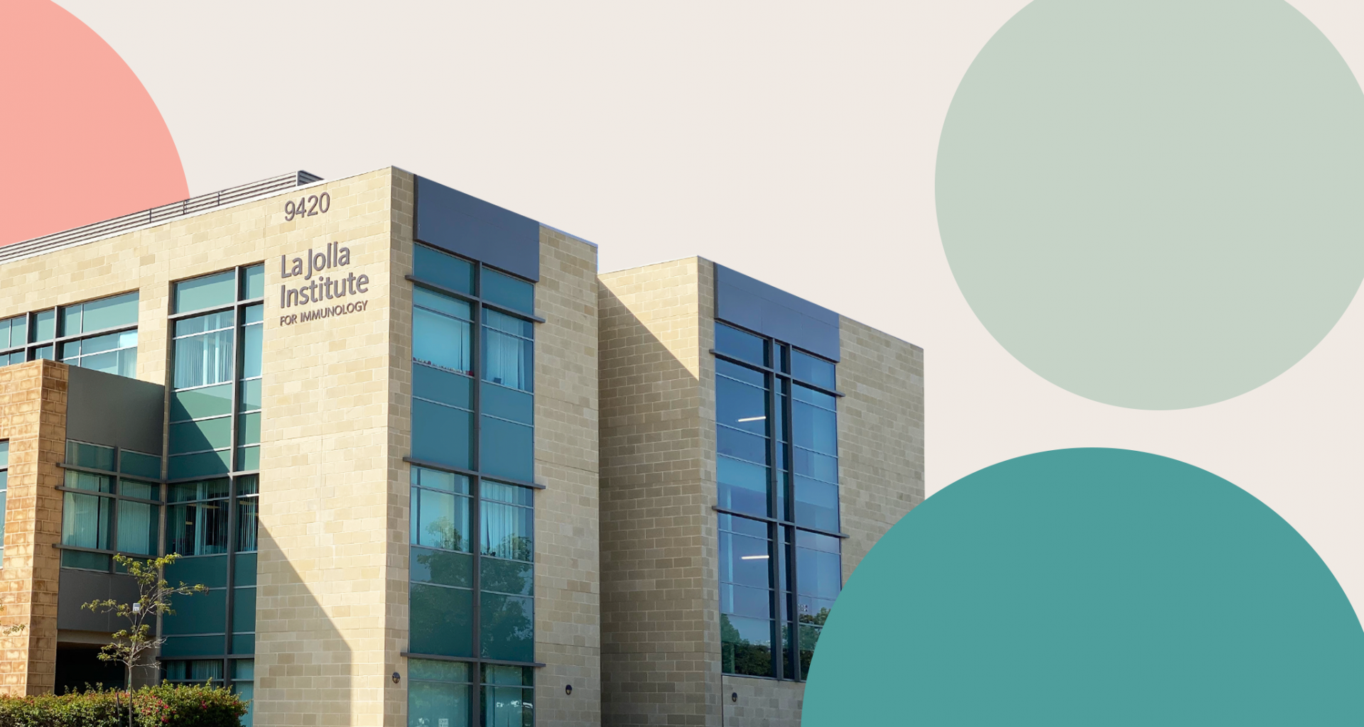 Photo of the LJI building with graphic motifs of colorful circles